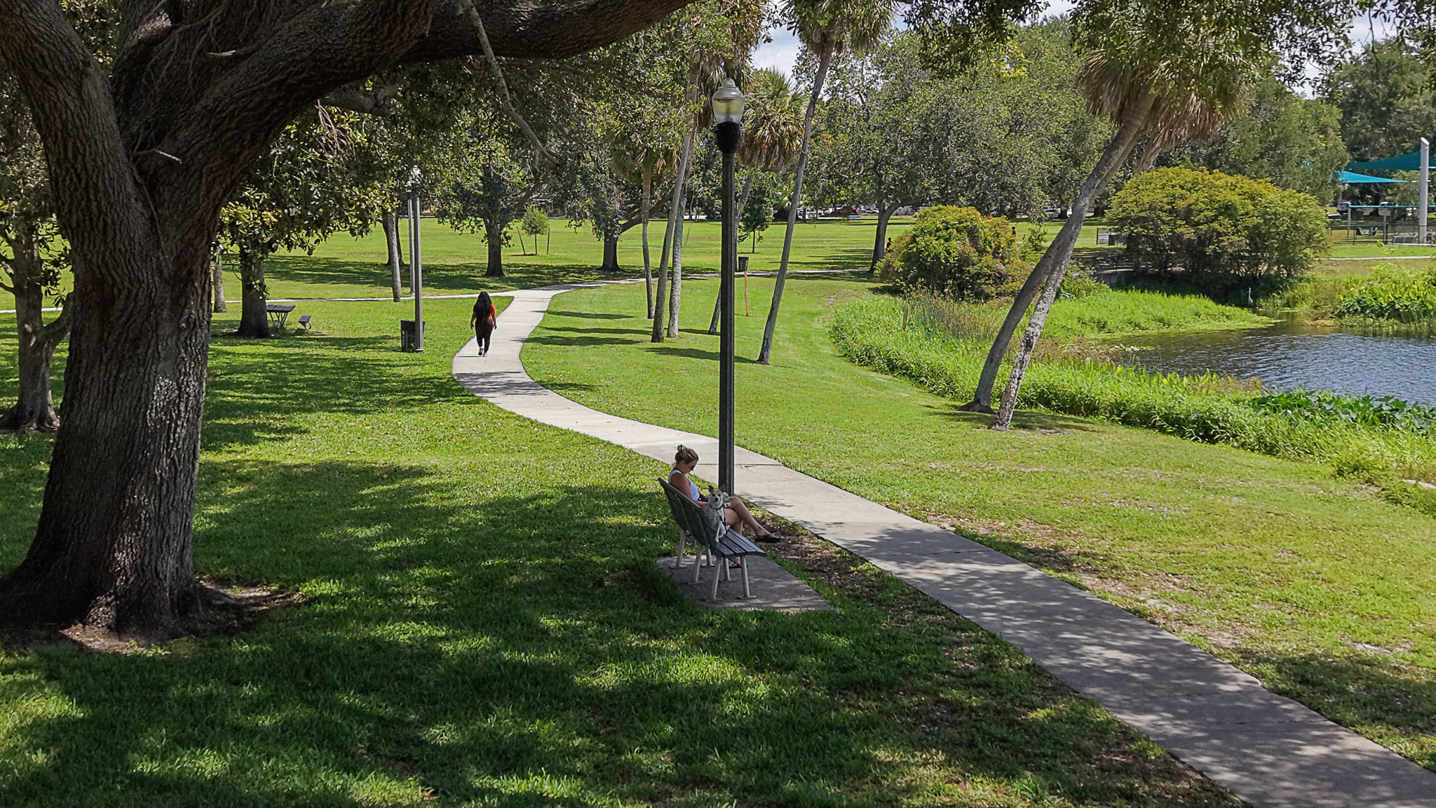 Crescent Lake Park, St. Petersburg: The Center of a Historic Neighborhood